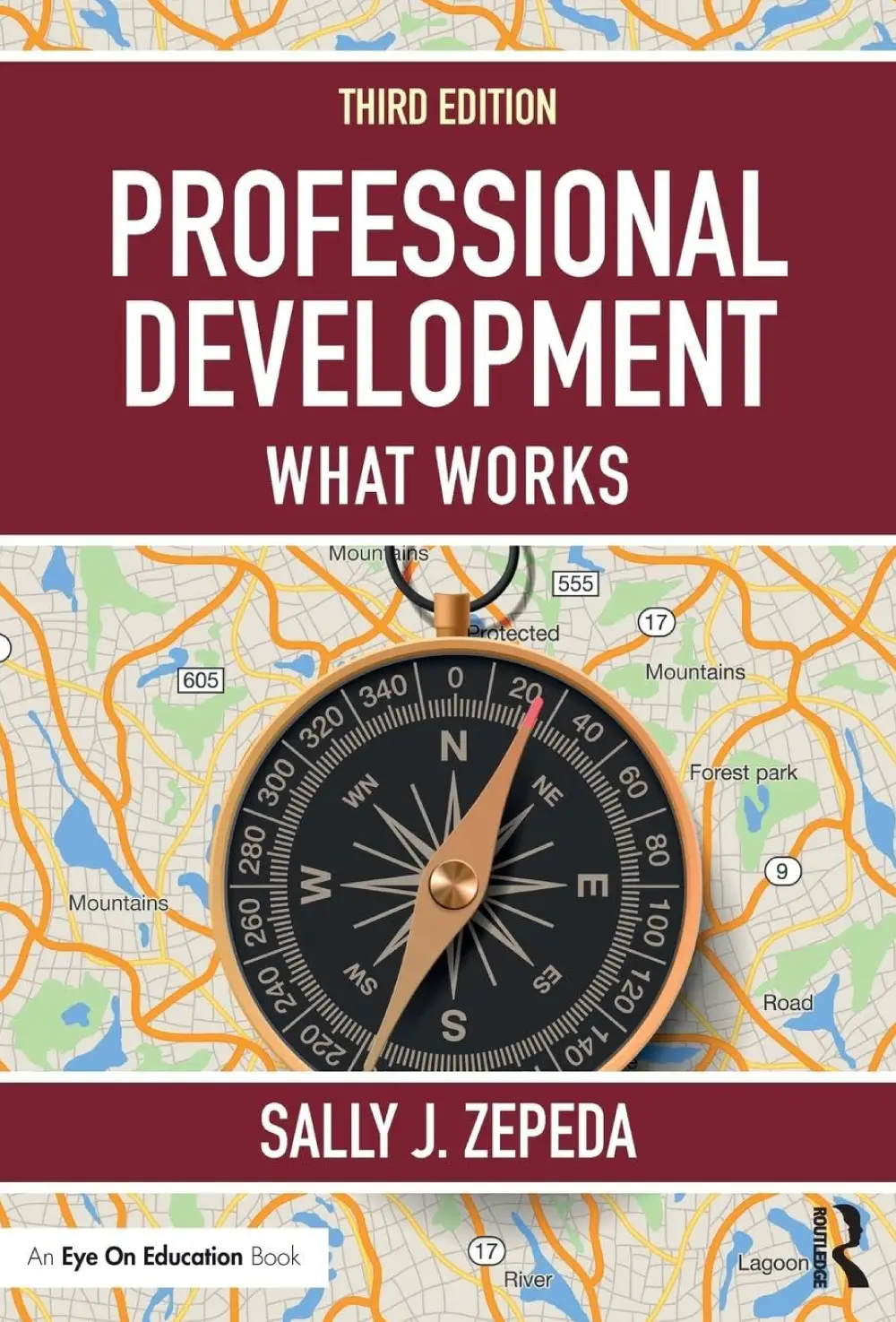 Professional-Development---What-Works